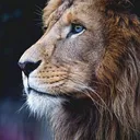 @facts_animals12