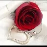 aliamalik22