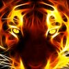 nicolasmartin239