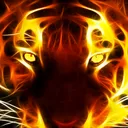 @nicolasmartin239
