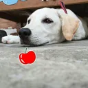 @user210455565