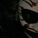 @rottenzanarchy