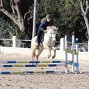 @margot_.equitation