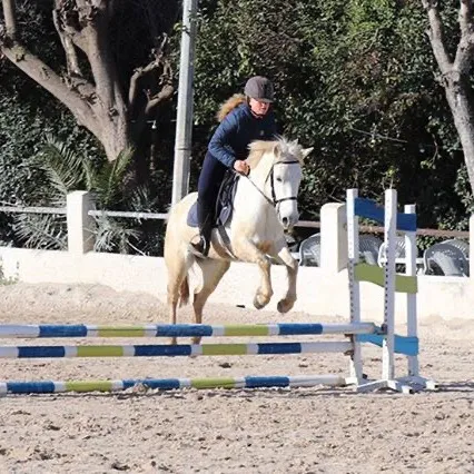 margot_.equitation