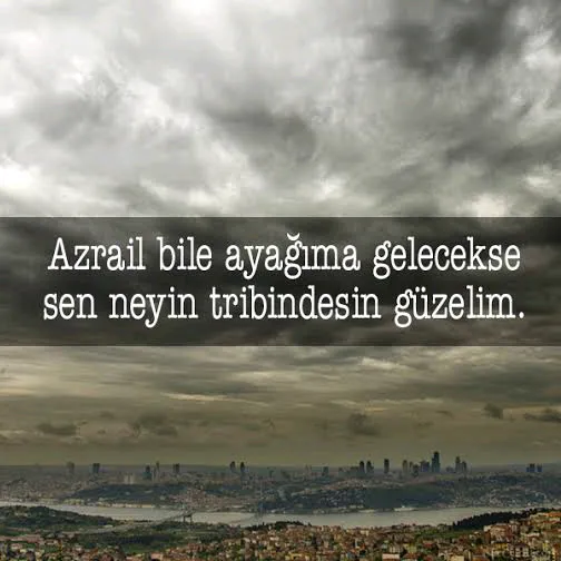 aykutcan272734