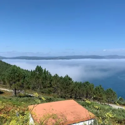 destinoyocio