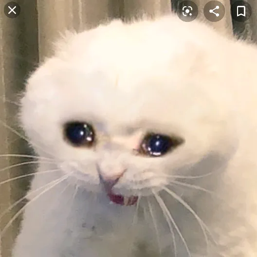@thewierdluck