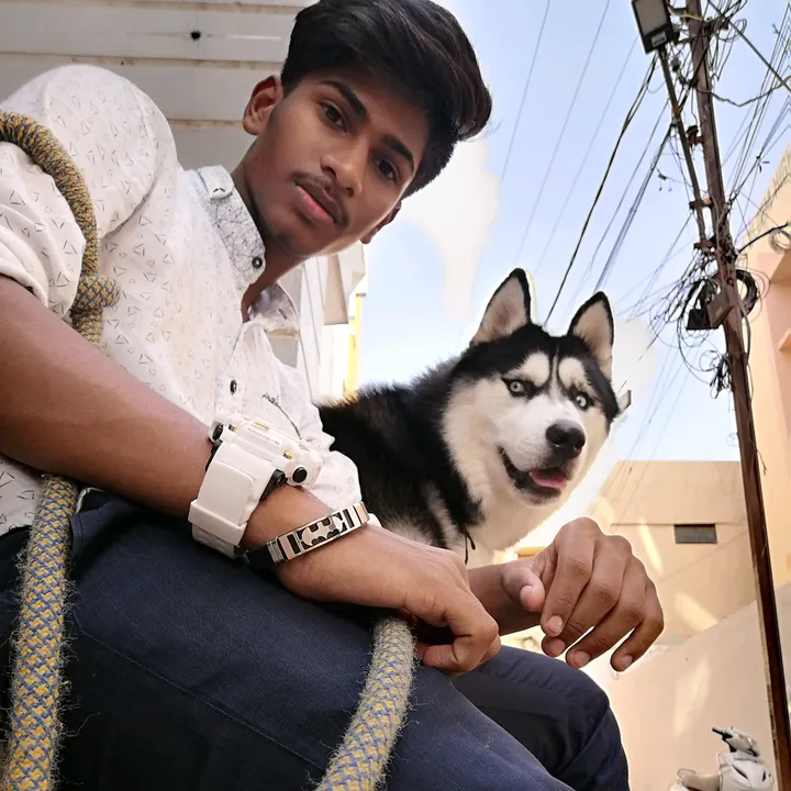 brunoqureshi83527