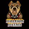 burlesonbullies