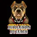 @burlesonbullies
