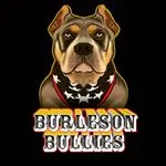 burlesonbullies