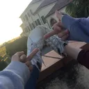 @bbtwinsss