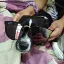 @pablito_mmd