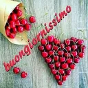@cerasella85