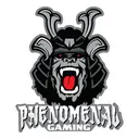 @phenomenal_gaming