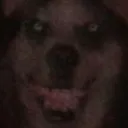 @wgneet