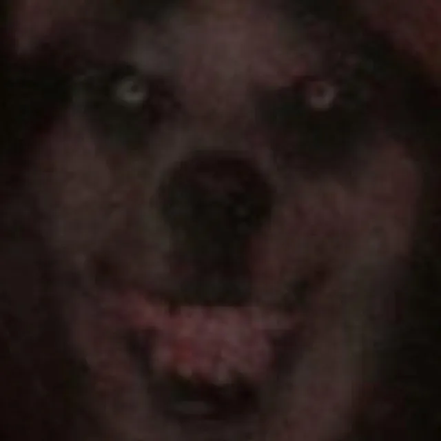 @wgneet