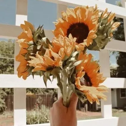@instagraminspirationn