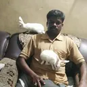 @rajaram320