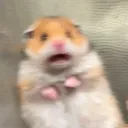 @jasonchungg