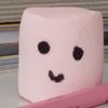 bonbon_tik.tok
