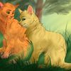 warriorcatsf