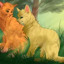 @warriorcatsf