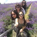 @cissylian568