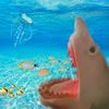 sharky_the_silly_puppet