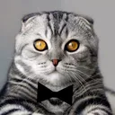 @catsting
