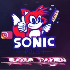sonic_polish