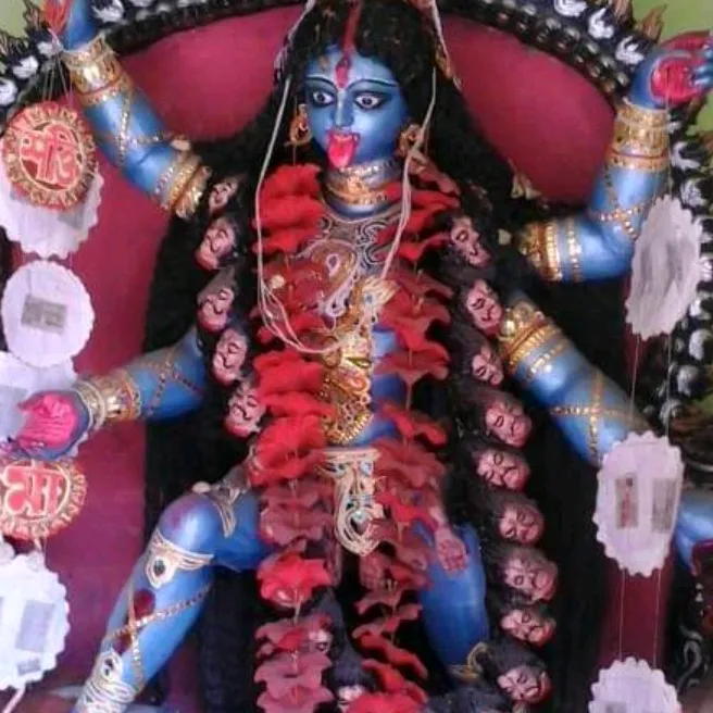 tanushreewaghela