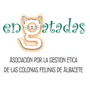 @engatadas