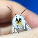 @doctorbugz