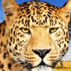 sunilraj3465