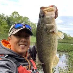 @all_vol_fishing