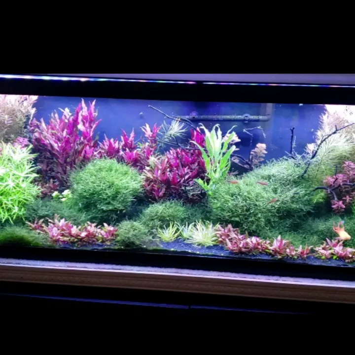 nature_captured_in_glass