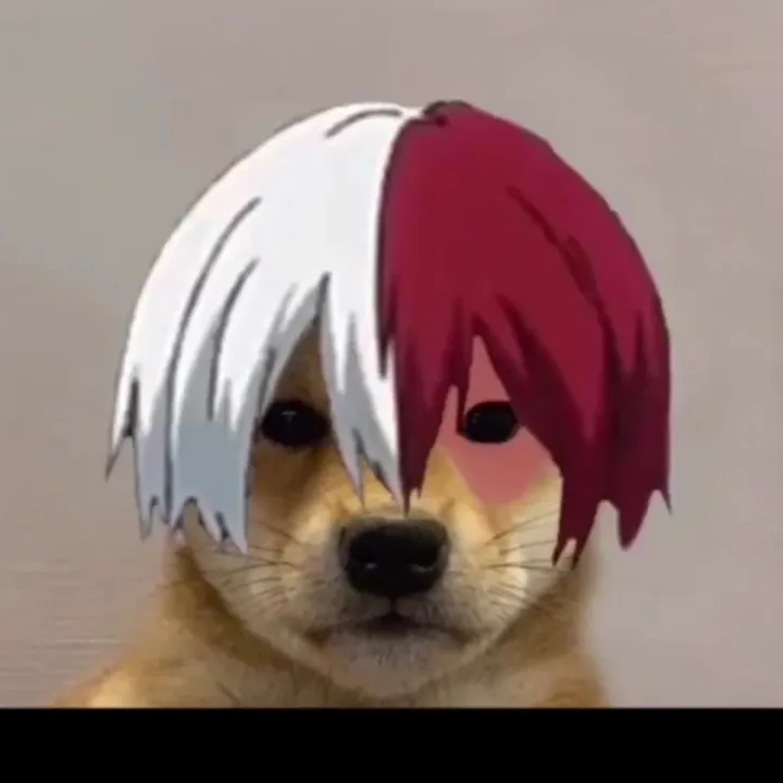 anime_gaming_fin