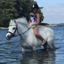 @horses.underbar