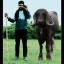 @kishanmakva1111
