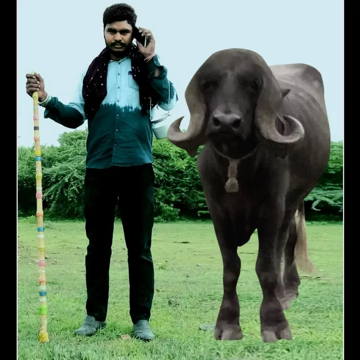@kishanmakva1111