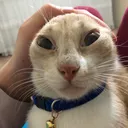 @55160619boncuk