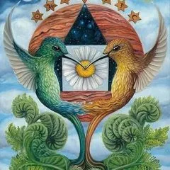 @colibri.temazcal