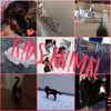 kids.animal