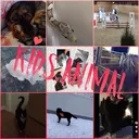 @kids.animal