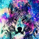 @loverqueen5