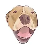 lilybug_lpb