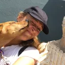 @allylush