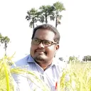 @asafali1