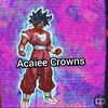 acaieecrowns